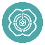 NDC icon