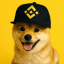 PUP icon